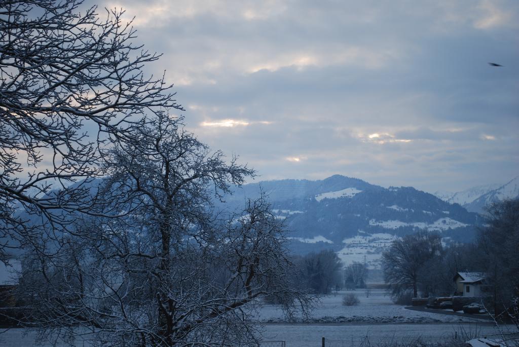 Ferienwohnung Rheintal Feldkirch Zewnętrze zdjęcie